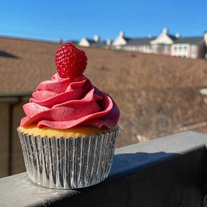 freeze-dried fruit in frosting is one of my favorite things I’ve learned from @bravetart 
.
.
.
.
.
#raspberrydessert #birthdaycupcake #fruitdessert #homemadecupcakes #seriouseats