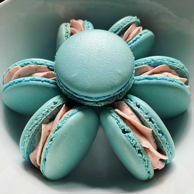 Easter vibes or baby shower vibes?
.
.
.
.
.
#macarons #homemademacarons #easterdesserts #swissmacarons #swissmeringuebuttercream #homepatisserie